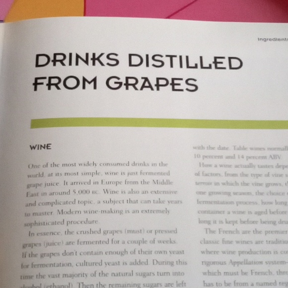 The Bartender's Guide- Paragon Books Ltd. 2008 - Picture 9 of 17